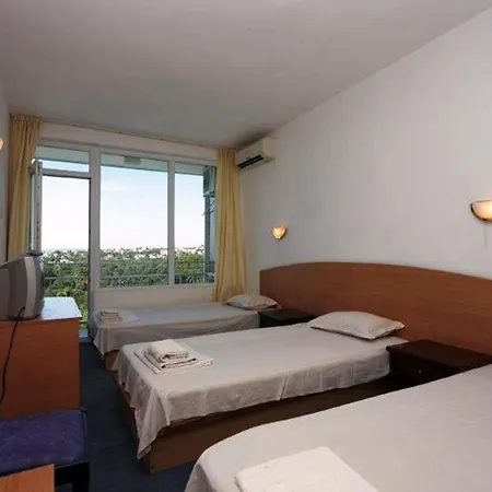 Hotel Geolog